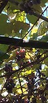 IMG_20240913_130045705