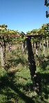 IMG_20240913_130034335