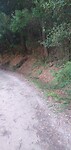 IMG_20240913_105228539