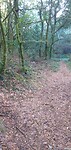 IMG_20240913_100038414