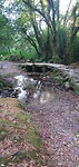 IMG_20240913_100032202