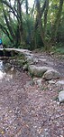 IMG_20240913_095959318