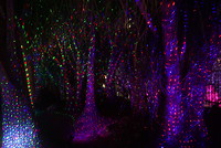 2D163D55-C6CE-4C36-B33E-A90F1000331C