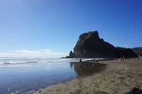 DSC02460