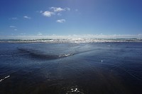 DSC02481