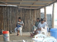 De vrouwen van de familie van het hostel