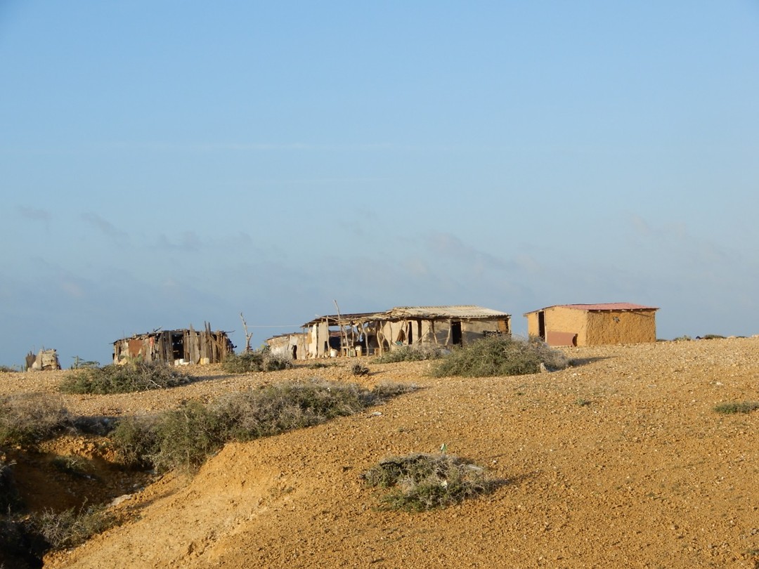Dorpje