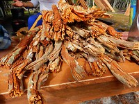 Ayahuasca maken