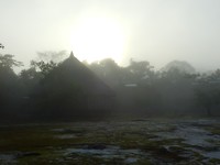 Dawn