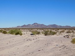 Mohave Desert