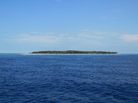 Lady Musgrave Island