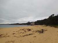 Eden