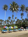 Dikwella beach