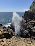 Blowhole
