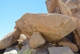 Joshua Tree Park