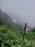 1000039354