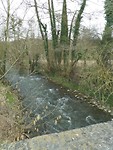 SAM_2867