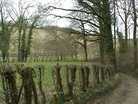SAM_2881