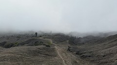 bromo