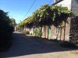 Wandeltocht naar Santiago de Compostela 2 1654