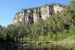 Carnarvon Gorge