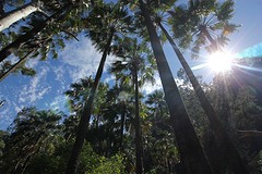 Let the sun shine