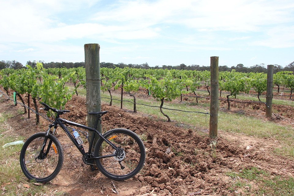 Fietsen Hunter Valley