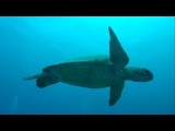 Blog #1 - De Outback en het Great Barrier Reef!