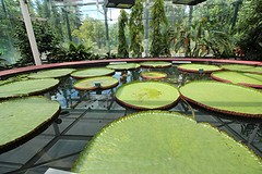 Botanische Tuinen