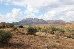 Elder Range