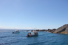 Snorkelplek met zeehonden
