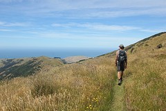 Wandelen in Akaroa