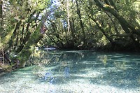 Helder water