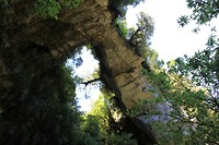 Archway