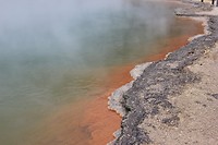 Champagne Pools