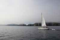 Zeilen in Bay of Islands