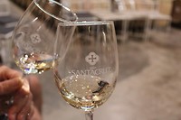 Glazen winetasting