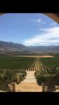Winevalley Santa Cruz