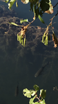 DD24E25F-19D1-4248-901E-67267F2F6606