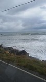 Langs de westkust van het zuidereiland