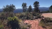 video 50 km Bonestar