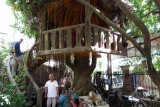 Lunch in een boomhut