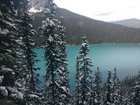 Bowlake