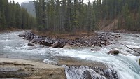 Sunwapta waterval