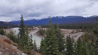 Jasper