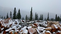 De weg van Jasper nasr Banff. Het begin v d sneeuw
