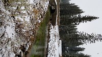 Lake Louise