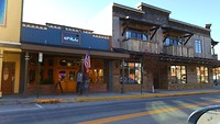 Whitefish