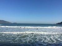 Surfles