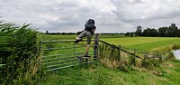 IMG_20230719_115410_01